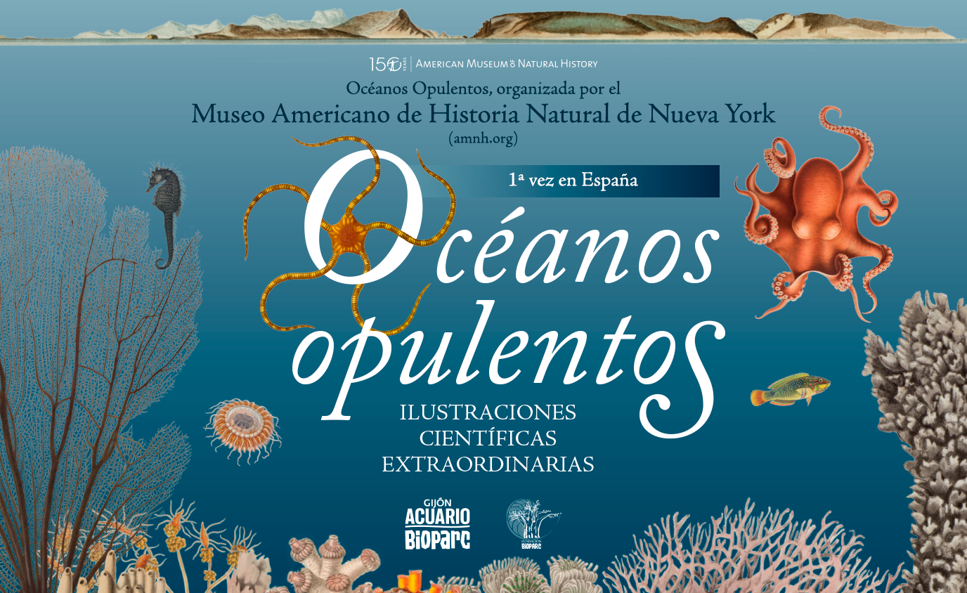 Lee más sobre el artículo Océanos Opulentos: Ilustraciones Científicas Extraordinarias