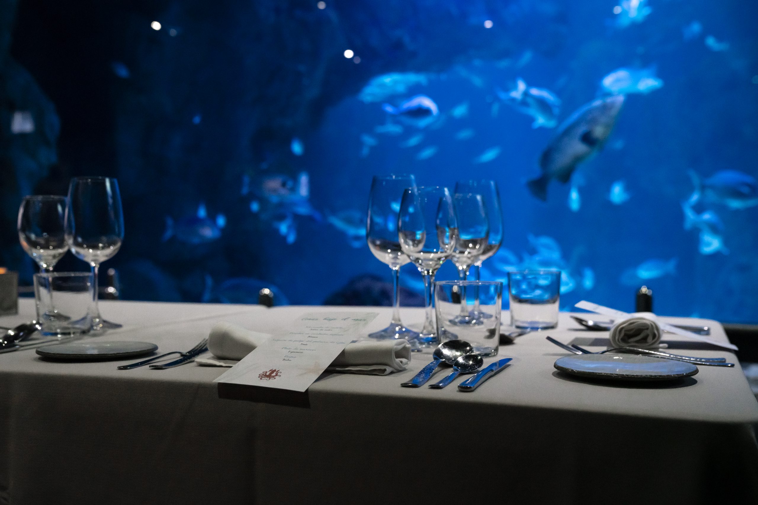 Lee más sobre el artículo Próximas fechas de Cenas bajo el Mar